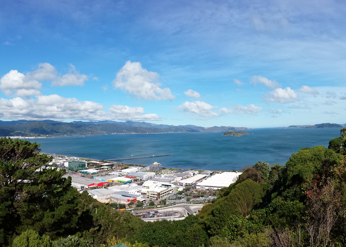  at 11 Singers Road, Korokoro, Lower Hutt