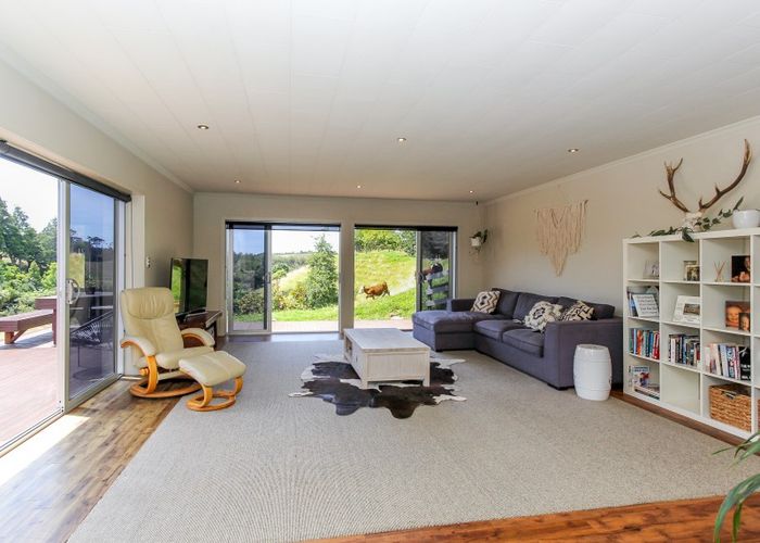  at 31 Sealy Road, Omata
