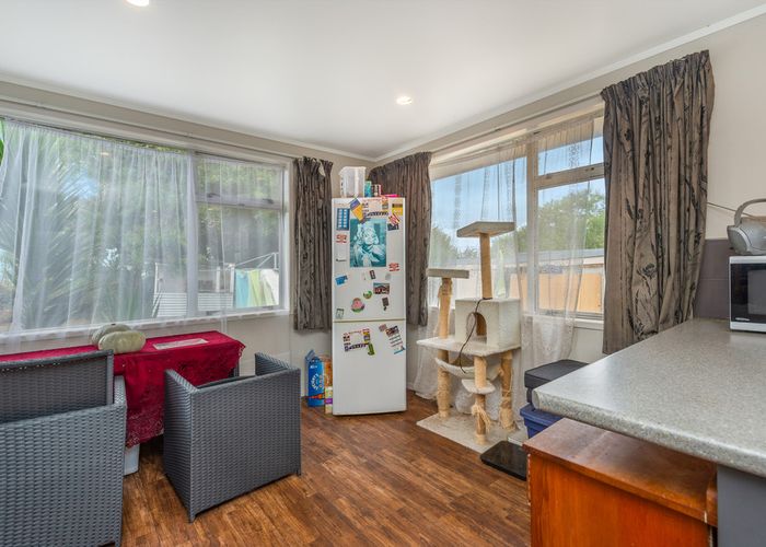  at 19 Young Street, Morrinsville, Morrinsville