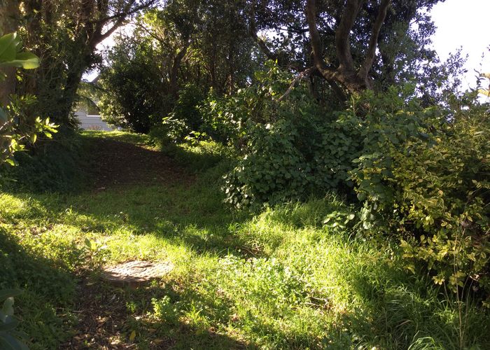  at 13 Twomey Grove, Houghton Bay, Wellington