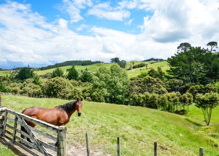  at 87 Zanders Road, Waimauku