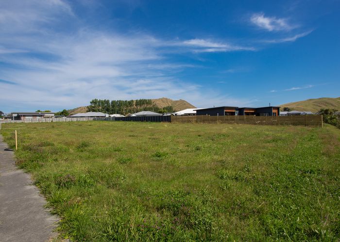  at 17 Hamilton Drive, Wainui, Gisborne