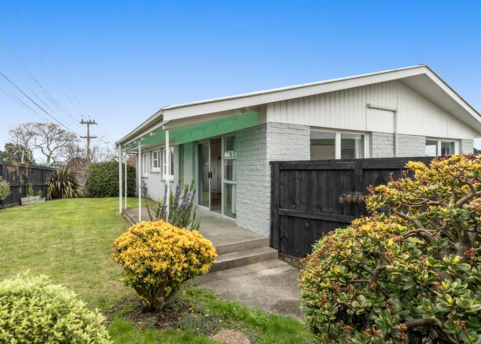  at 113 Grange Road, Otumoetai, Tauranga
