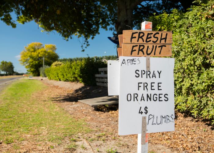  at 1048 Back Ormond Road, Gisborne