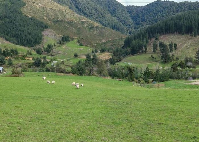  at 532 Wakamarina Road, Wakamarina