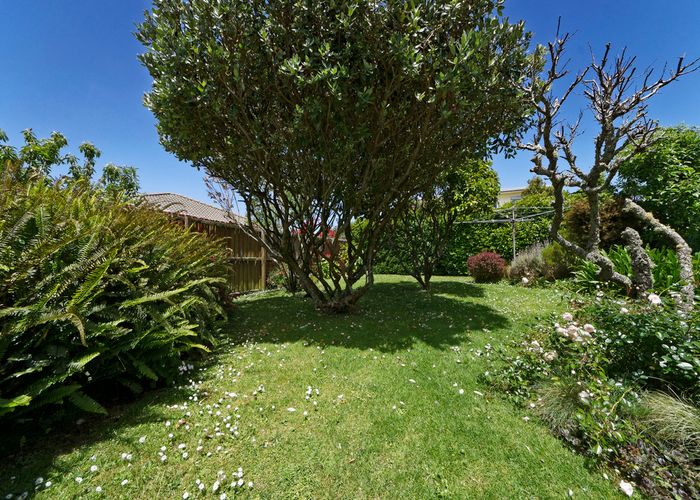  at 3/446 Blockhouse Bay Road, Blockhouse Bay, Auckland