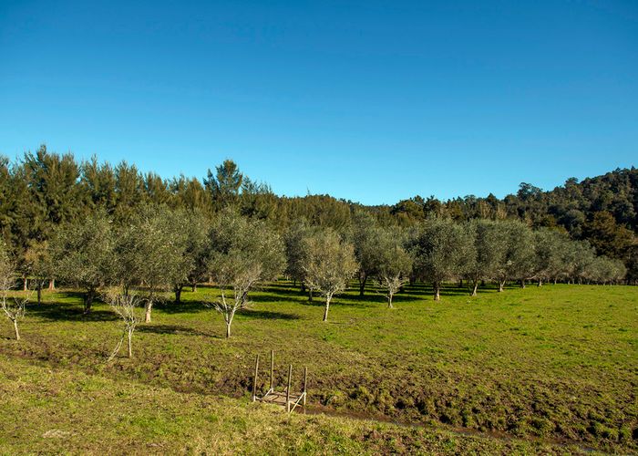  at 300 Rangihau Road, Coroglen