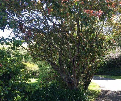  at 27 Ranui Terrace, Tawa, Wellington