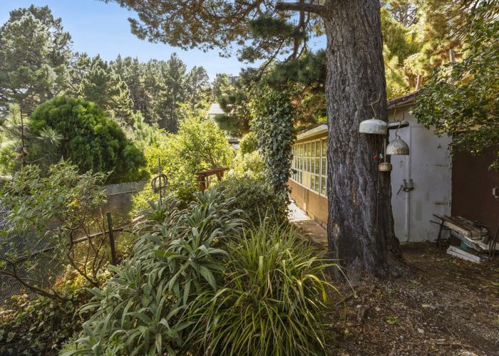  at 21 Nikau Road, Point Howard, Lower Hutt