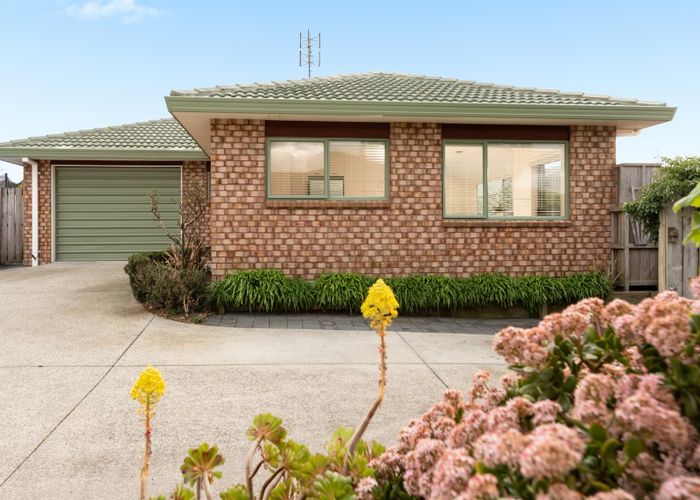  at 49C Coopers Road, Gate Pa, Tauranga