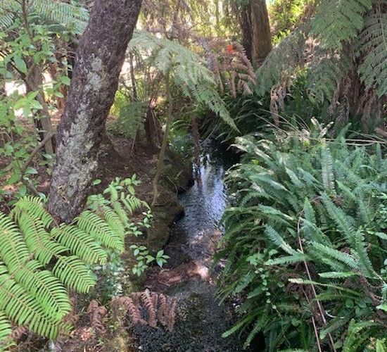  at 129 Bays Road, Ōrere Point