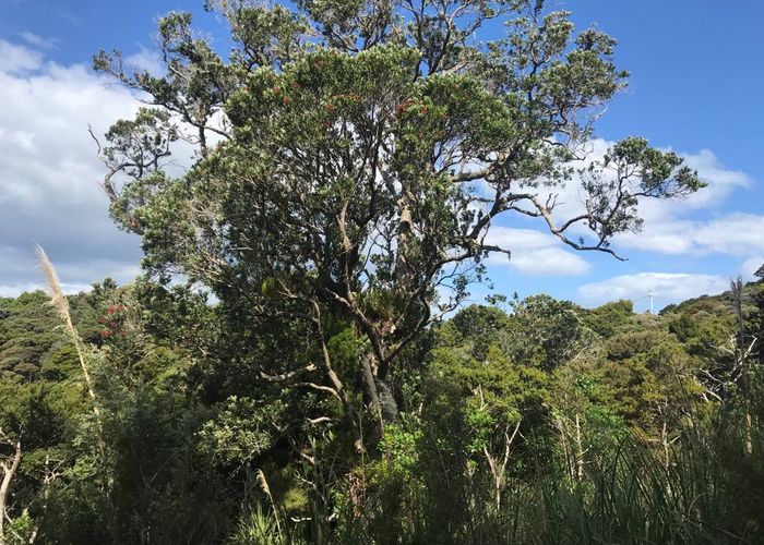  at 247 Tutukaka Block Road, Tutukaka, Whangārei