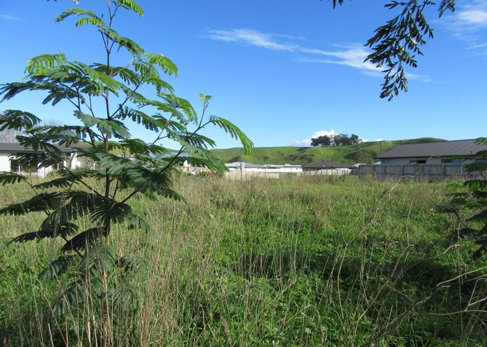  at 38 Hamilton Drive, Wainui, Gisborne