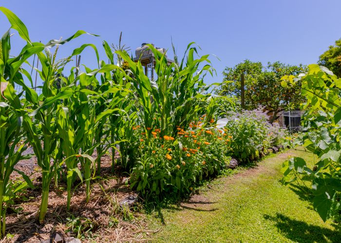  at 0 Barrett Road, Omata, New Plymouth