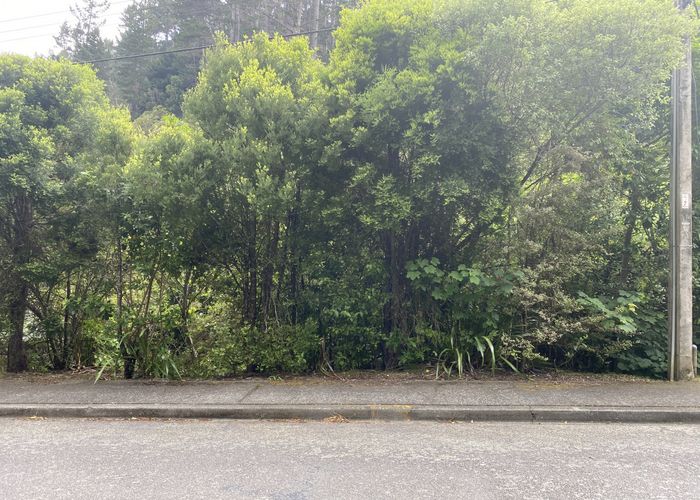  at 75 Elmslie Road, Pinehaven, Upper Hutt