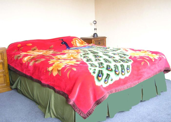  at 25 Leicester Street, Terrace End, Palmerston North
