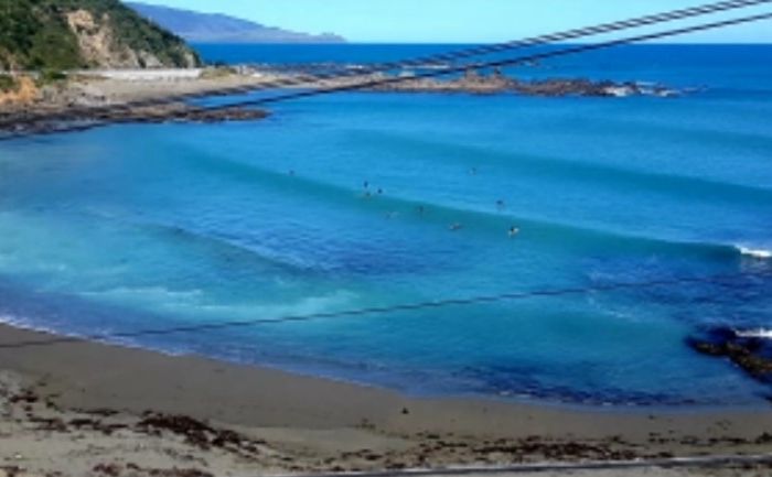  at 98 The Esplanade, Houghton Bay, Wellington