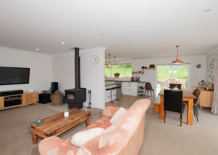 Free property data for 489 Waikerikeri Vly Rd, Springvale, Alexandra homes.co.nz