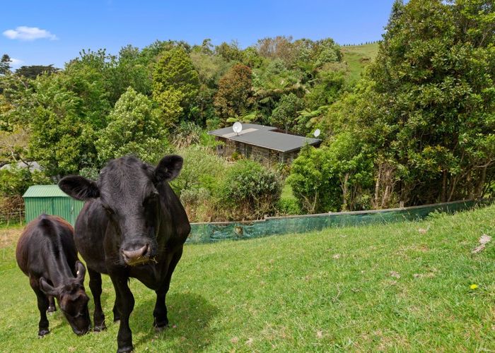  at 1279 Manawahe Road, Manawahe, Whakatane