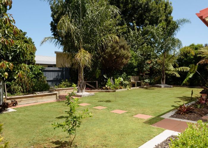  at 102 Merriman Place, Pyes Pa, Tauranga