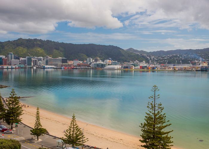  at 22 Hay Street, Oriental Bay, Wellington