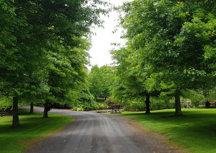  at 67C Jericho Road, Pukekohe East