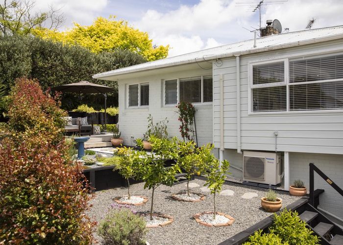  at 29A Maxine Place, St Heliers, Auckland