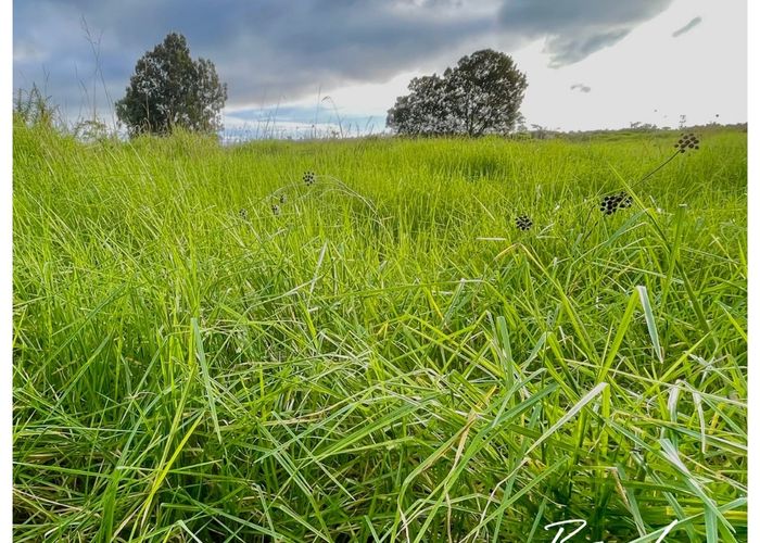  at 3 Matarau Road, Awanui