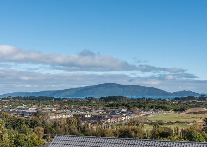  at 14 Amokura Street, Waikanae