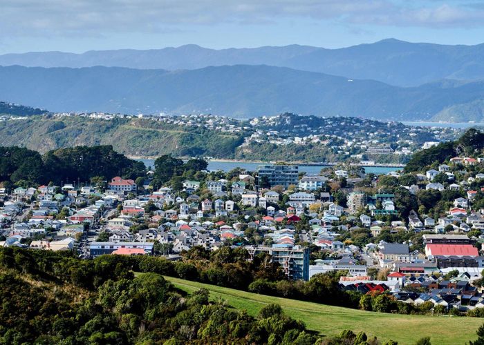  at 24 Havelock Street, Mornington, Wellington