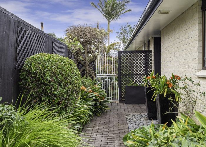  at 49 John Gill Road, Shelly Park, Auckland