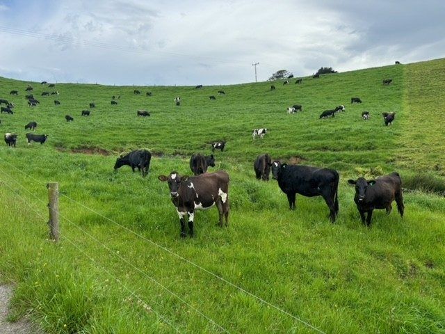 at 119 Ohanga Road, Onaero, New Plymouth, Taranaki
