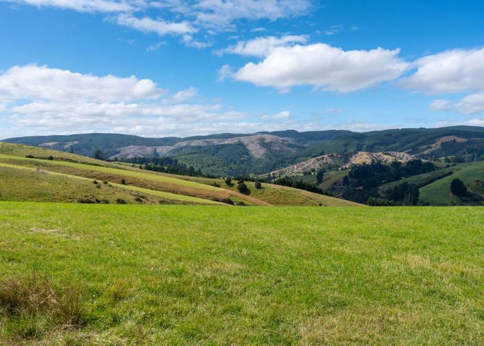  at 00 Blue Spur Road, Gabriels Gully, Lawrence, Clutha, Otago