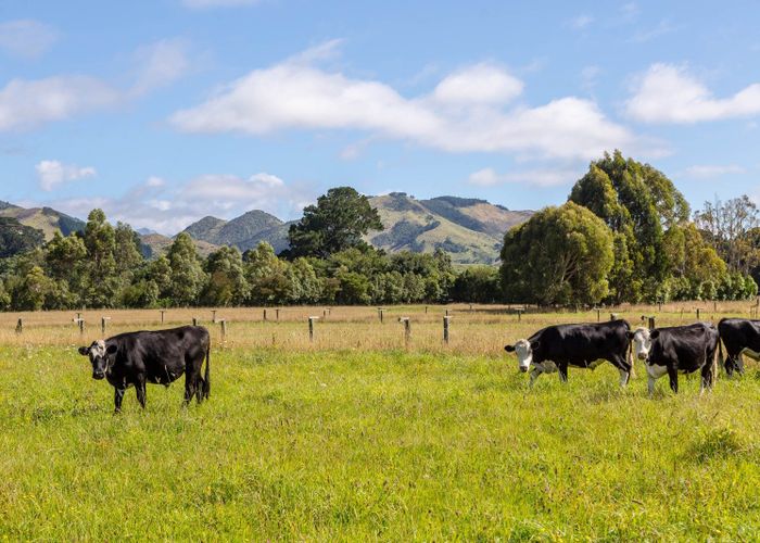  at 89 Hinau Gully Road, Carterton, Carterton, Wellington
