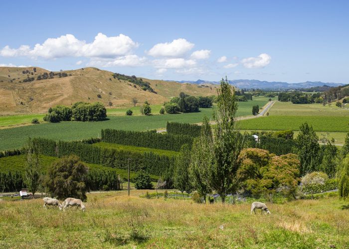  at 909A Wharekopae Road, Ngatapa, Gisborne