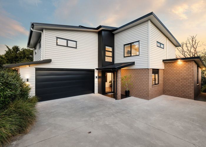  at 17A Ranfurly Avenue, Fairfield, Hamilton