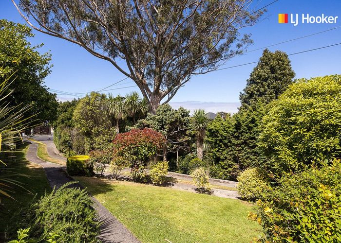  at 89 Belford Street, Waverley, Dunedin