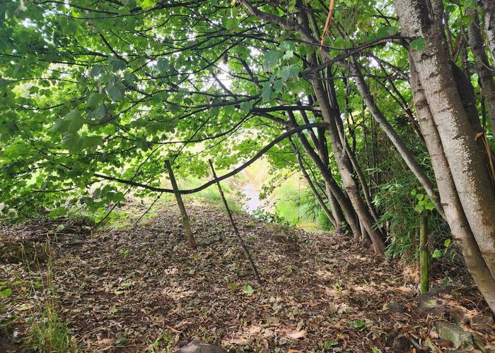  at 12 Richard Street, Riverton, Southland, Southland