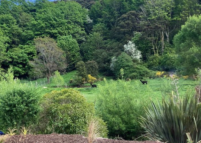  at 151B Norwood Street, Normanby, Dunedin, Otago