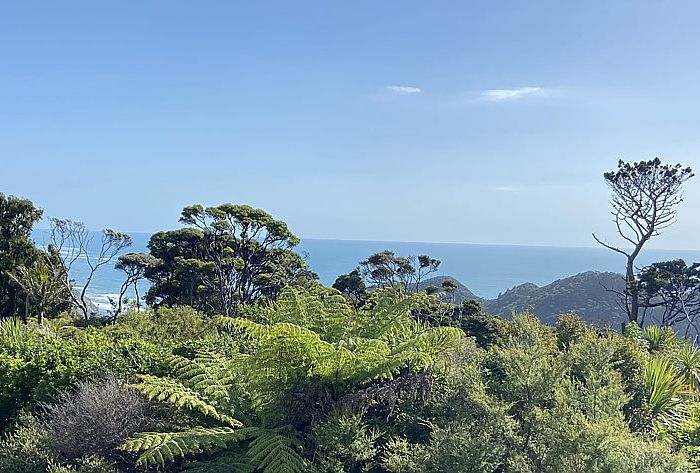  at 203 Piha Road, New Lynn