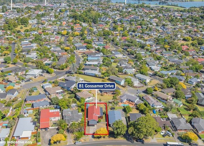  at 81 Gossamer Drive, Pakuranga Heights, Auckland