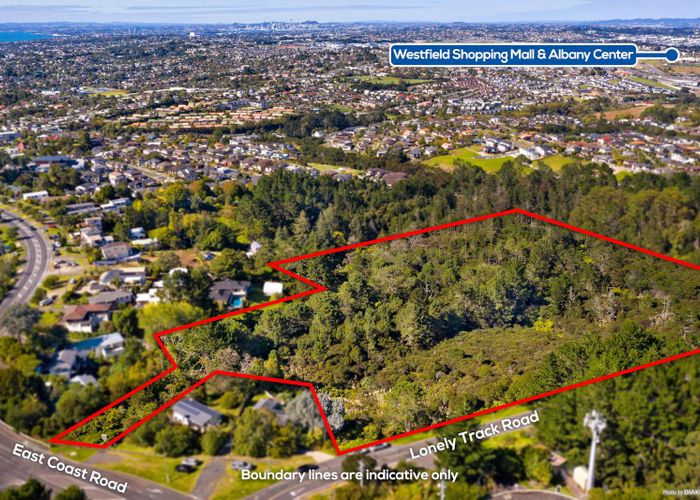  at 9 Lonely Track Road, Fairview Heights, Auckland