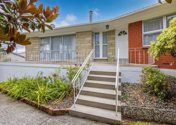  at 8 Pelorus Street, Glenview, Hamilton