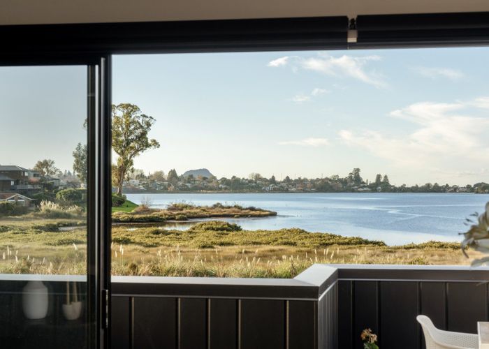 at 31 Hinaki Street, Poike, Tauranga, Bay Of Plenty