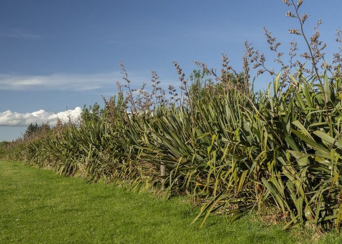  at 9/Lot 9 Admiral Road, Carterton, Carterton, Wellington