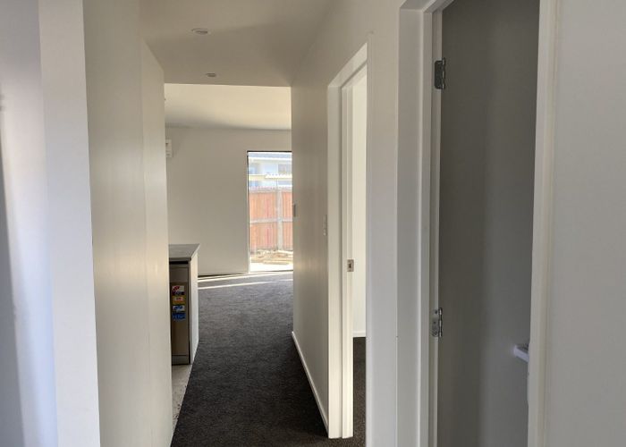  at 3/31 Ward Street, Addington, Christchurch City, Canterbury