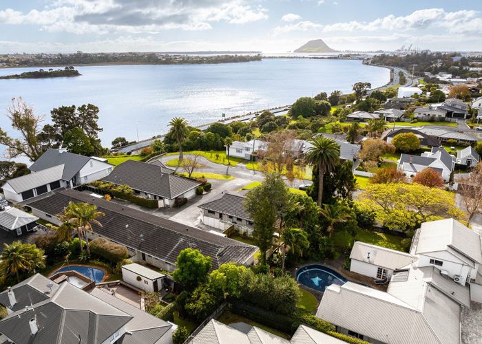  at 86B Seventh Avenue, Avenues, Tauranga, Bay Of Plenty