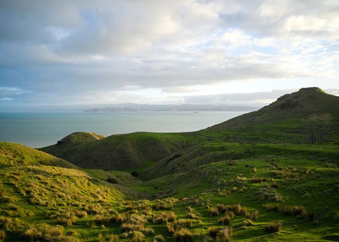  at 611 Wainui Road, Kaiti, Gisborne, Gisborne