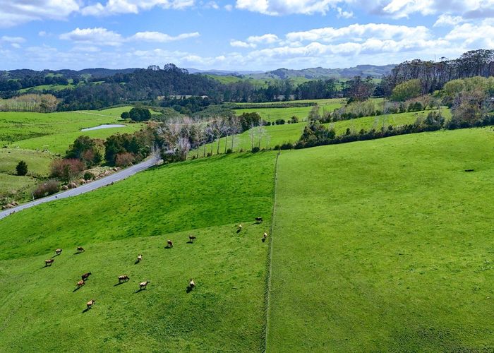  at 123 Whakapirau Road, Wellsford, Rodney, Auckland