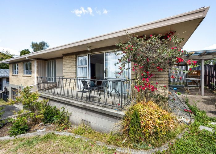  at 66 Hazelwood Avenue, Dinsdale, Hamilton